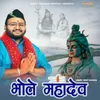 About Bhole Mahadev Song